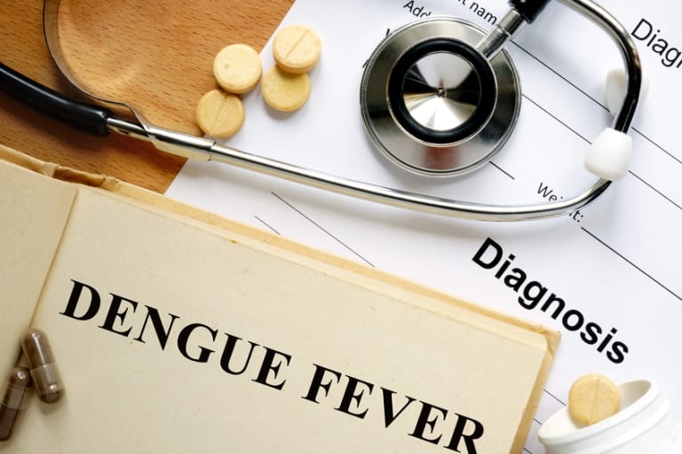 Dengue Cases On The Rise