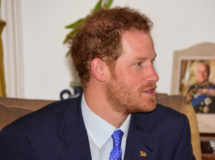 Prince Harry Visits The RSS