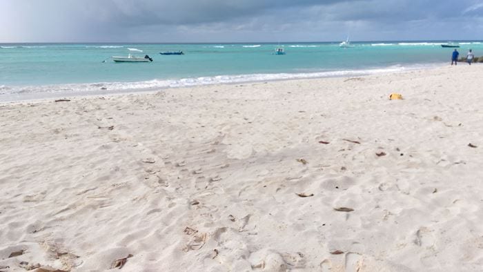 Nearshore Water At South Coast Beaches Are Safe