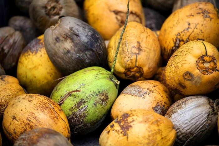 Coconut Stakeholders Forum May 17