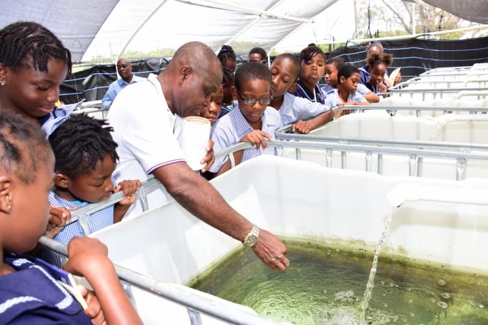 Environmental Health Tour For Primary School Students