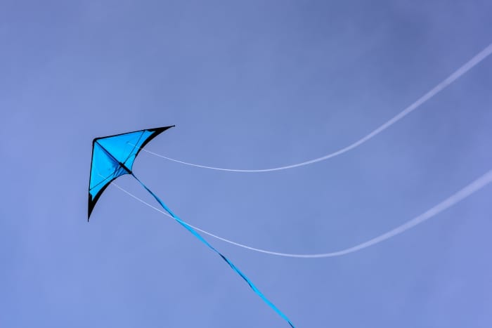 Public Asked To Take Down Kites