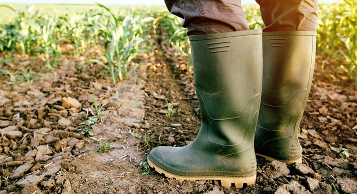 ‘Grow What You Eat’ Open Farm Workshops