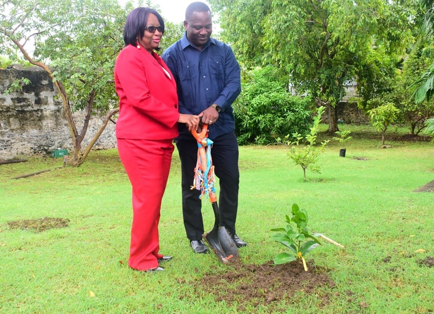 Donville_Inniss_PAHO_tree_planting