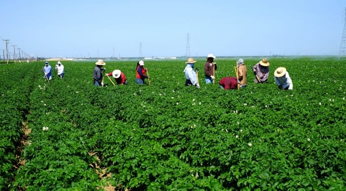 Benefits From Canadian Workers Programme Welcomed