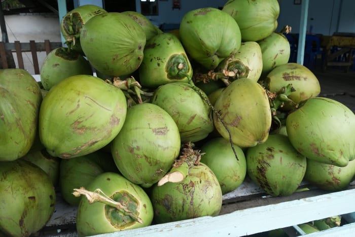 Training Workshop For Coconut Vendors