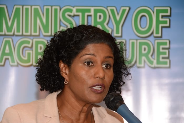 Revitalised Agriculture Sector Key To Recovery