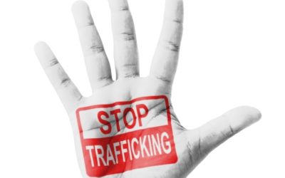 Action Plan To Fight Human Trafficking In The Works