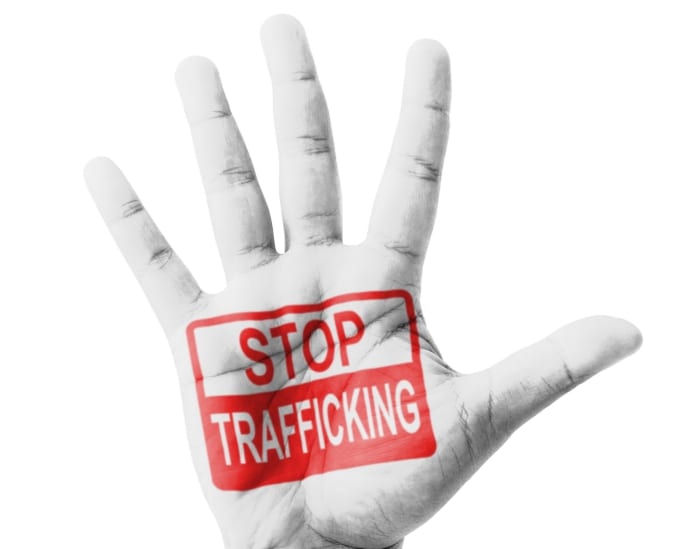 Action Plan To Fight Human Trafficking In The Works