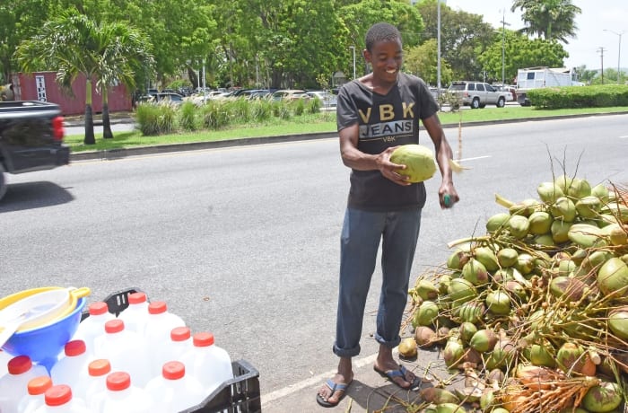 Upcoming Workshops For Coconut Vendors