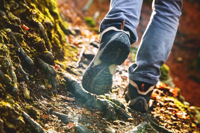 Hike For Wellness October 25