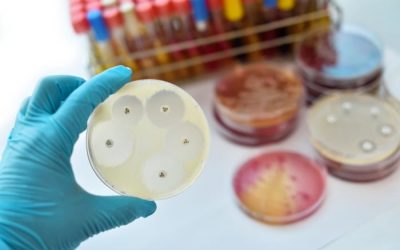 Call For Global Leaders To Champion AMR Fight
