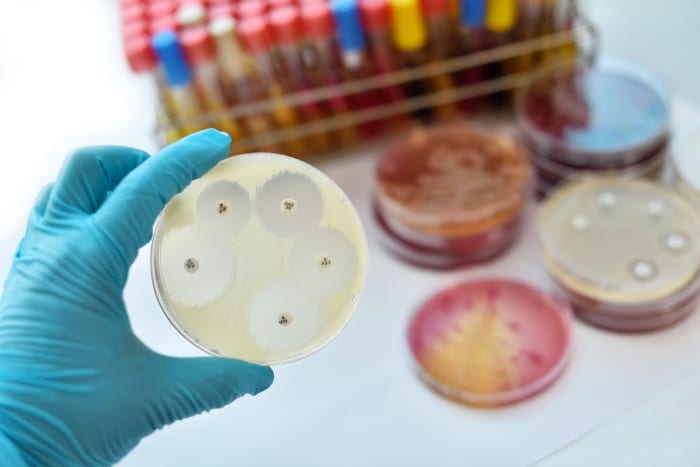 Call For Global Leaders To Champion AMR Fight