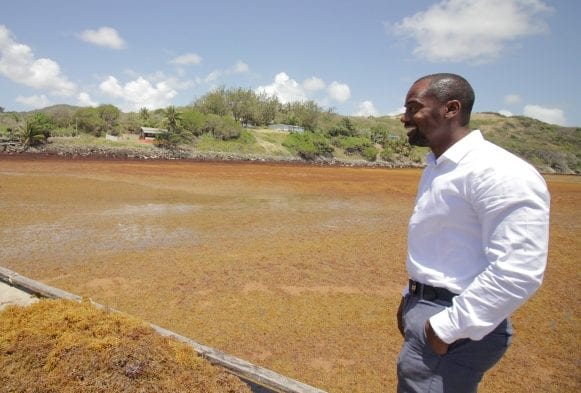Government Invests In Equipment To Fight Sargassum