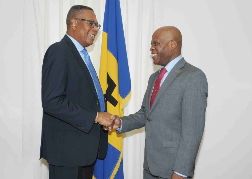 Home Affairs Minister & OAS Rep Discuss Security