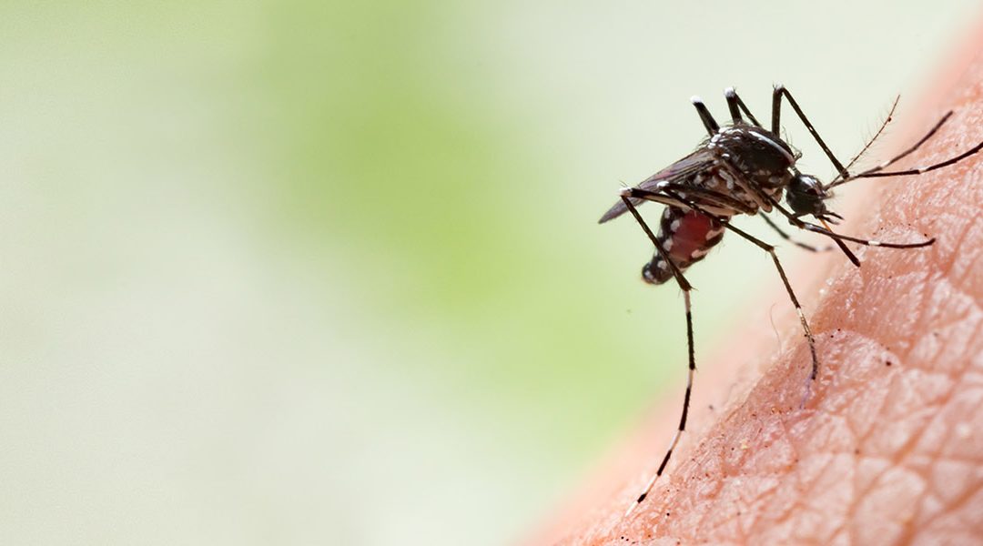 USAID Assisting Barbados In Mosquito Fight