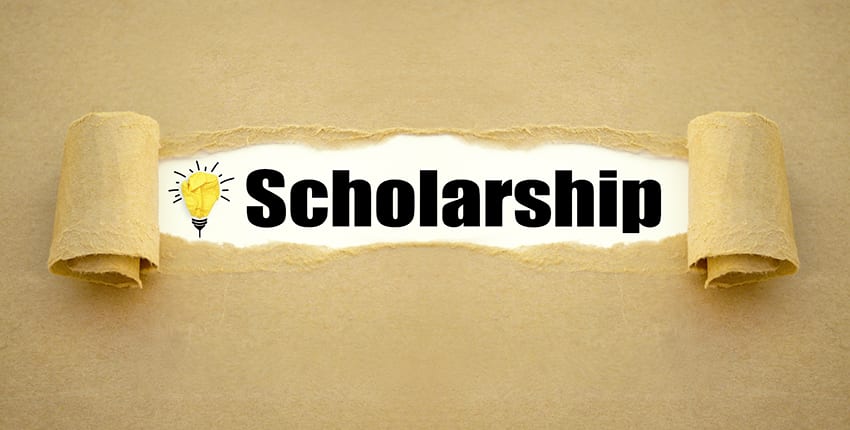 New Zealand Offers 20 Scholarships