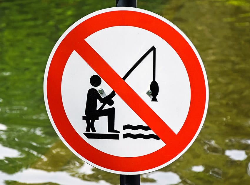 Fishing Restriction At Graeme Hall Swamp