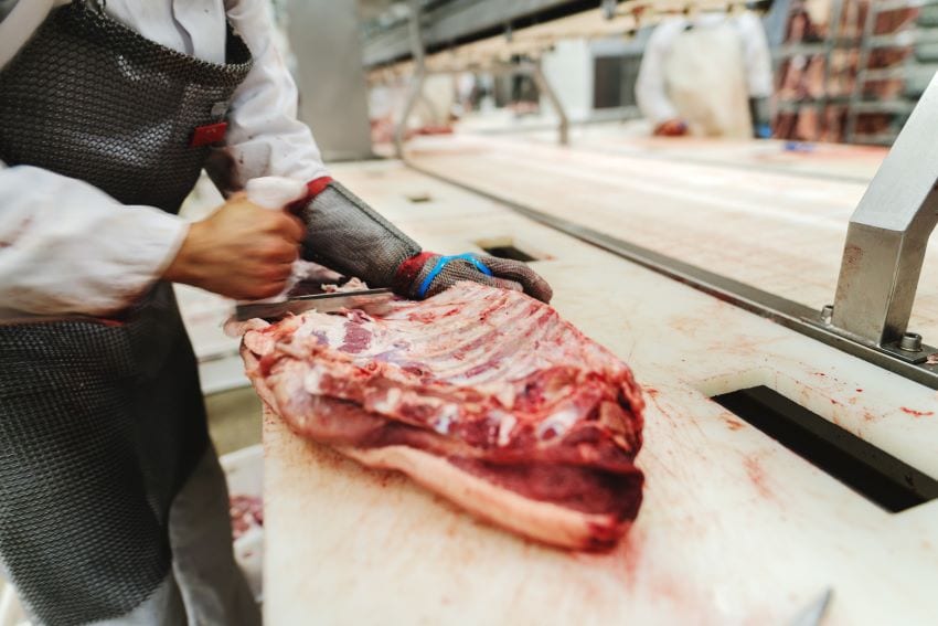 Government Supportive Of Pork Industry