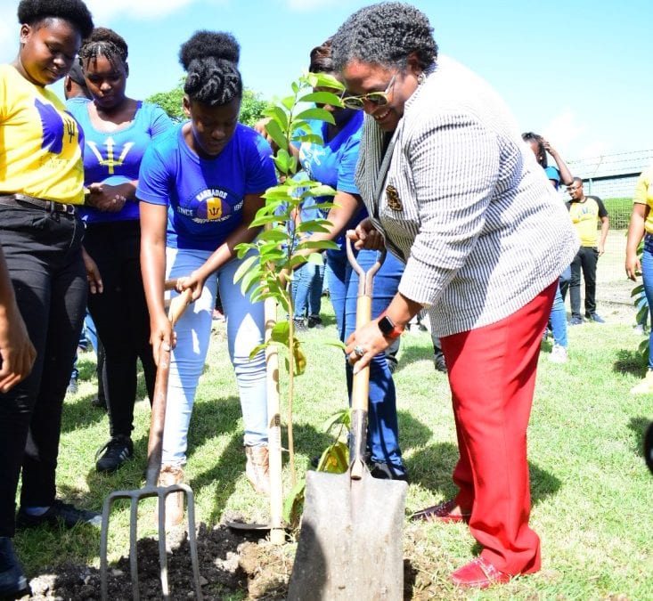 Barbadians Urged To Create Nurseries