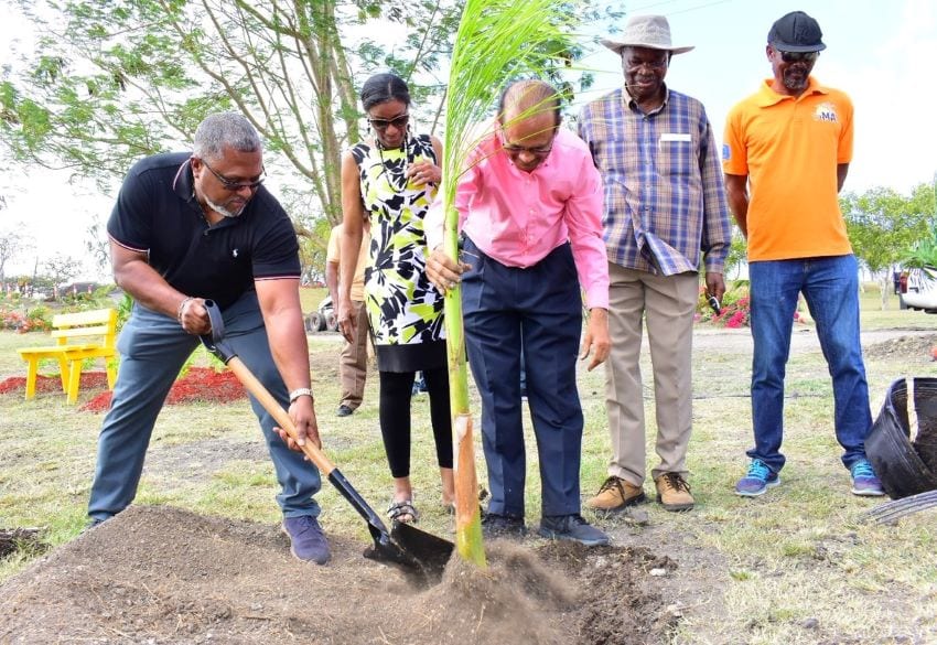 Planting Of A Palm Symbolizes Agricultural Alliance