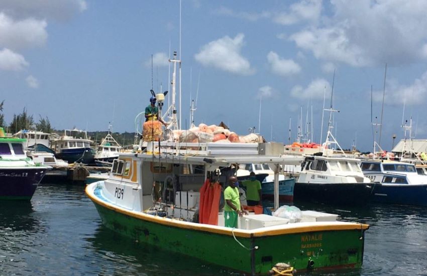 Bridgetown Fisheries Complex Reopens For Business
