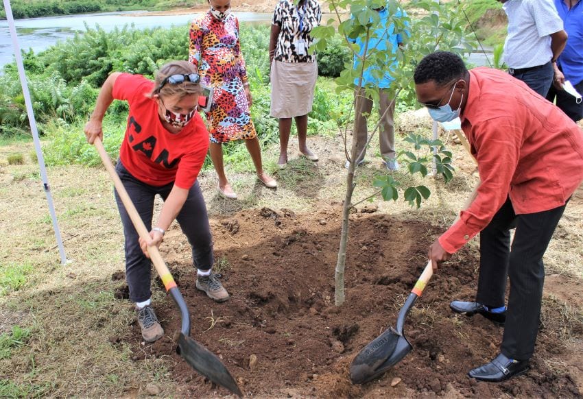 Walkers Institute Praised For Tree Planting Efforts