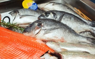 No Increase In Fish Imports Due To Damaged Vessels