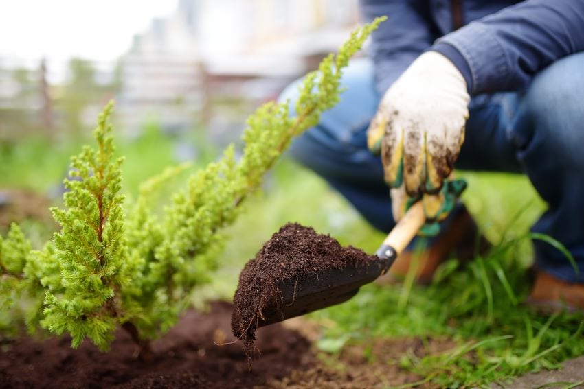 Employment Opportunities In Landscaping In Canada