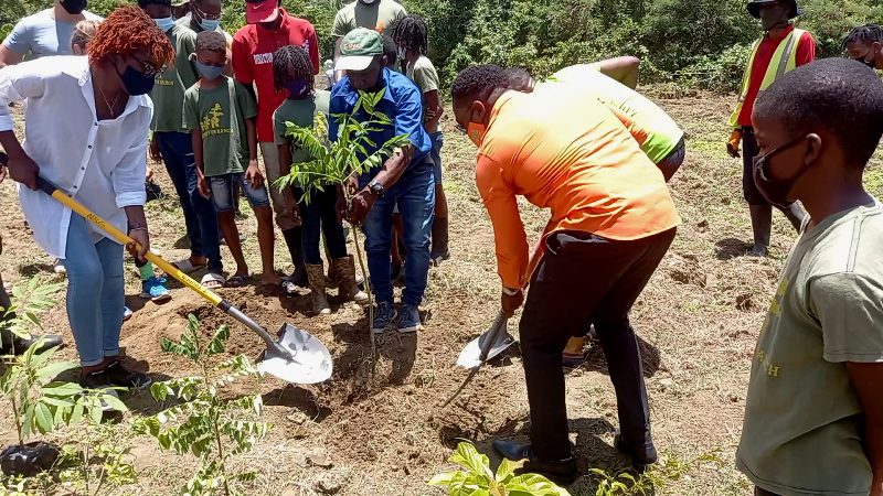 National Tree Planting Initiative Relaunched