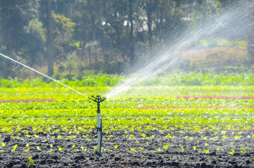 A Single Price For Water For Agriculture Sector