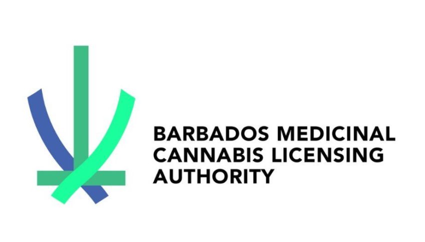 Medicinal Cannabis Licensing Authority Celebrates 1st Anniversary