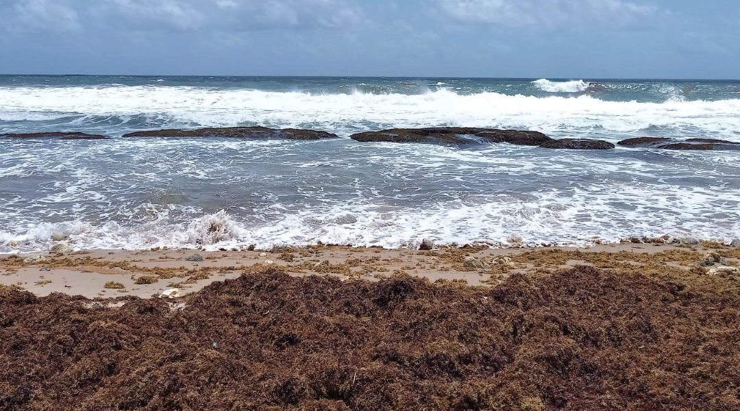 Climate Change – A Threat To Barbados’ East Coast