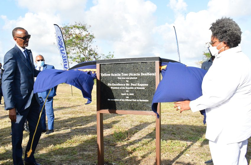 Barbados & Rwanda Plant Trees In National Botanical Gardens