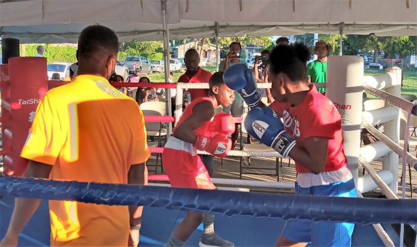 New Boxing Project A Positive Avenue For Youth