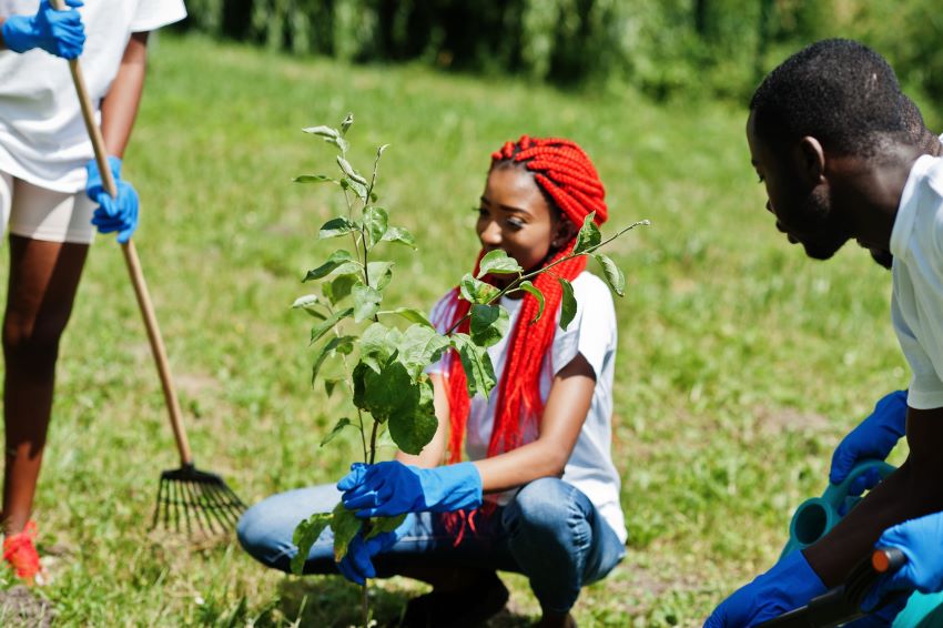 Skilled Hands Needed To Care For Trees