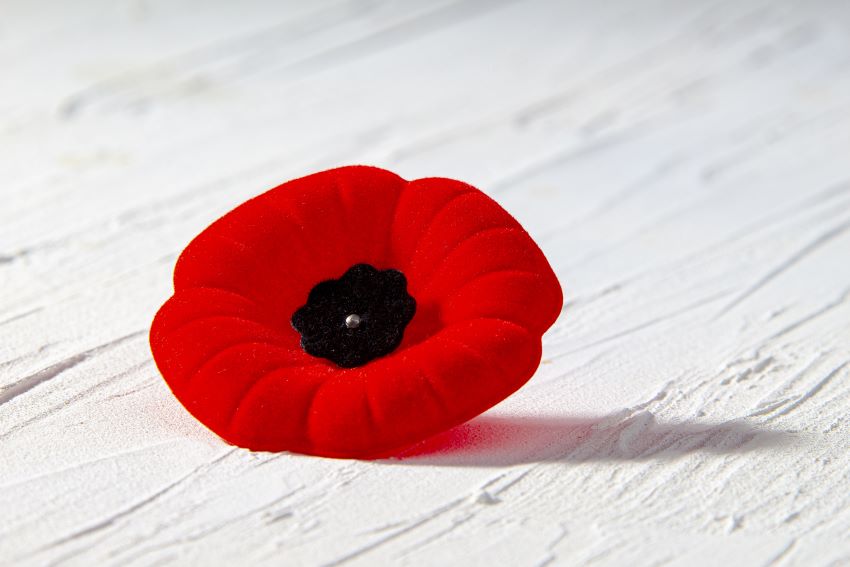 Remembrance Day To Be Observed Sunday, November 13