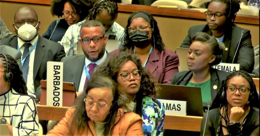 Barbados’ Statement At First Permanent Forum Of People Of African Descent