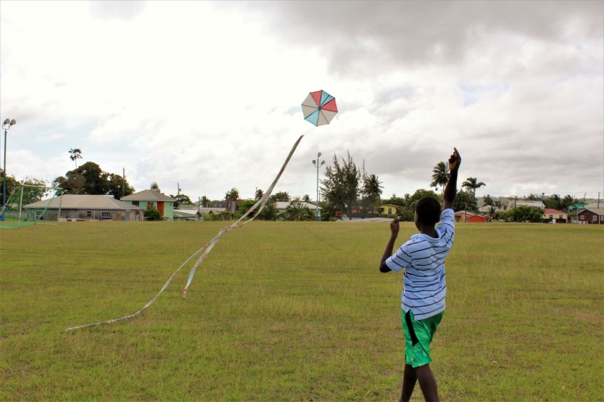 No Kite Flying In Restricted Districts