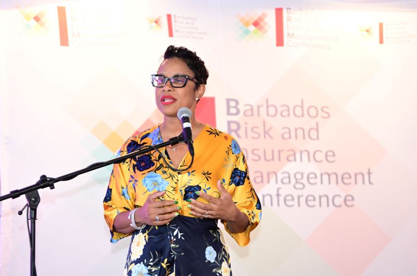 Senator Cummins: Various Approaches To Build Barbados’ Brand
