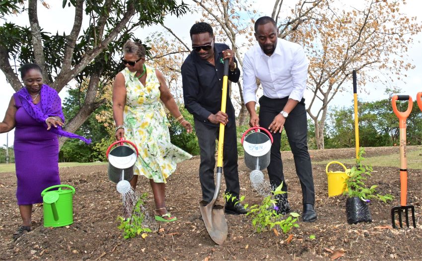 Space In National Botanical Gardens For All Barbadians