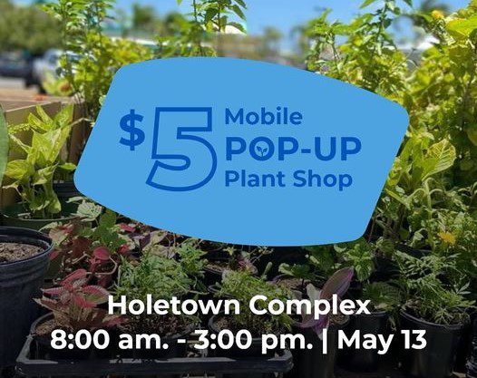 NCC Mobile Pop-Up Shop & Mother’s Day Discounts