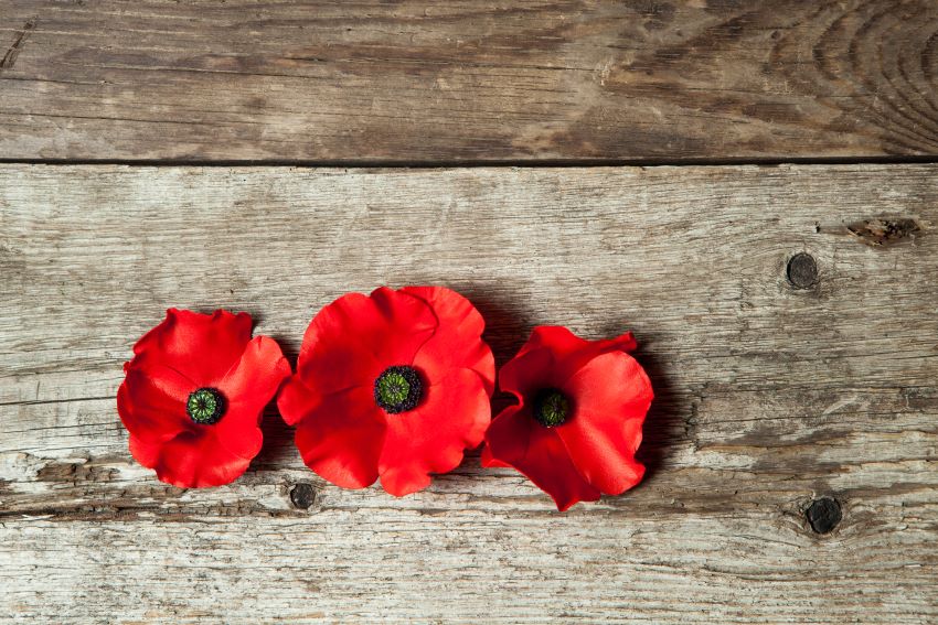 Give Generously To Poppy Drive