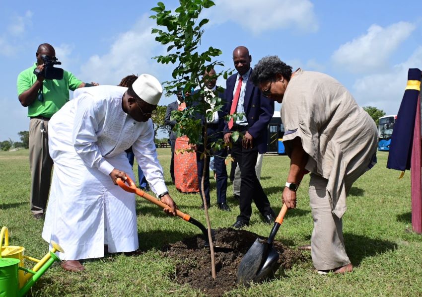 Barbados & Senegal Plant Trees As A Symbol Of Friendship