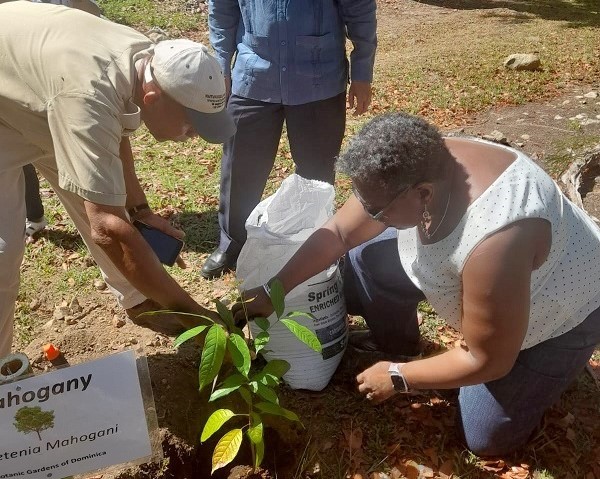Barbados Participates In Tree-Planting Exercise At COFCOR
