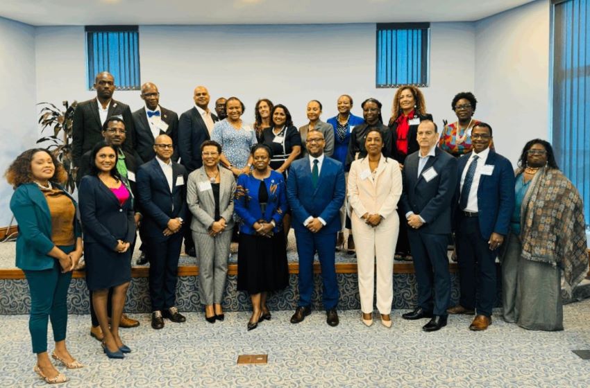 UN Global Compact Discuss Priority Areas With Caribbean CEOs