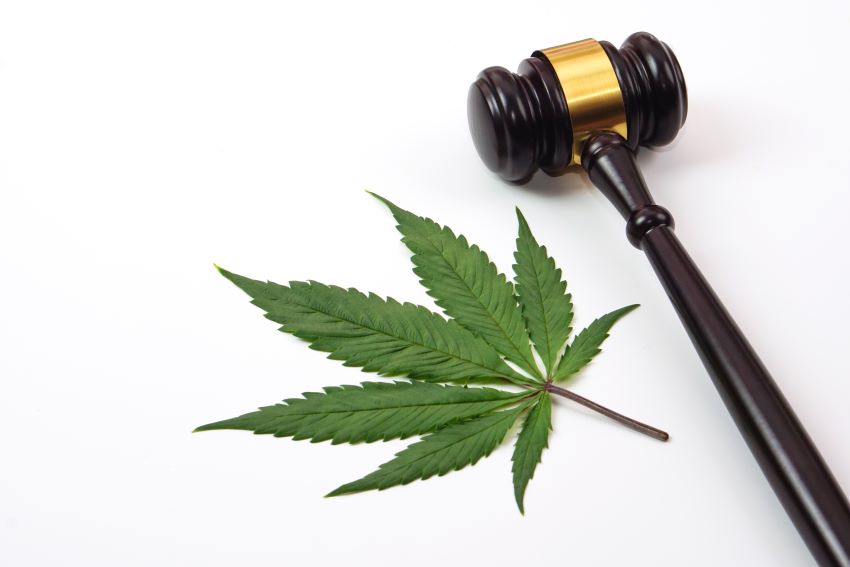 Police Official Clarifies Cannabis Legislation