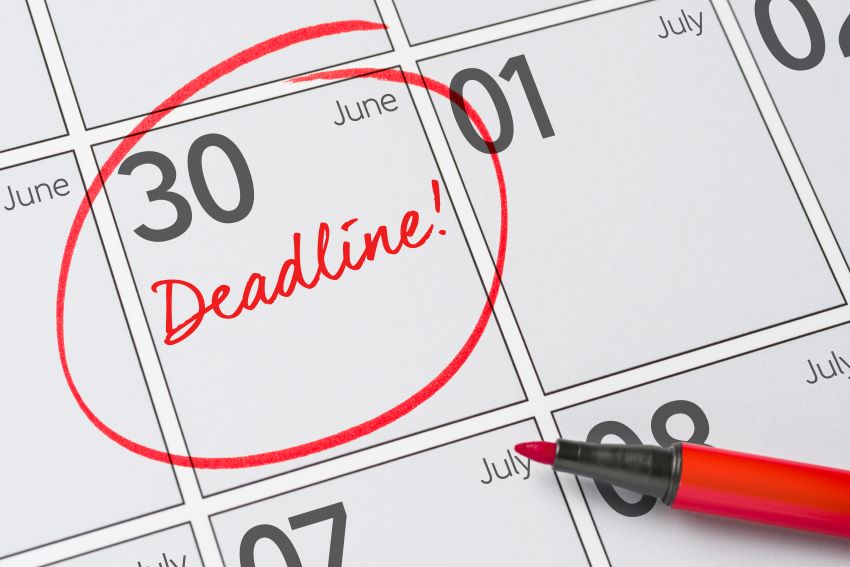 Reminder Of Filing Deadline For Domestic Companies
