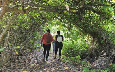 Next Wellness Hike In St. John This Month