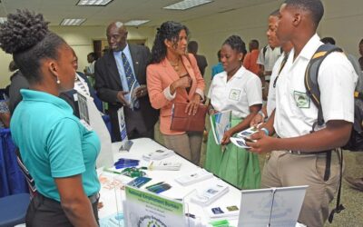 Employers Urged To Support Internships